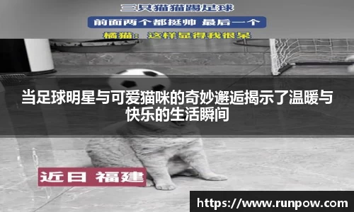 当足球明星与可爱猫咪的奇妙邂逅揭示了温暖与快乐的生活瞬间